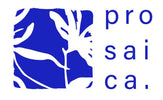 Prosaica - Inicio